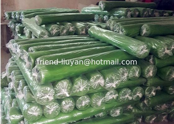 Green Color 14x14 Mesh HDPE Window Screen, Plastic Mosquito Net, Durable Fly Screen